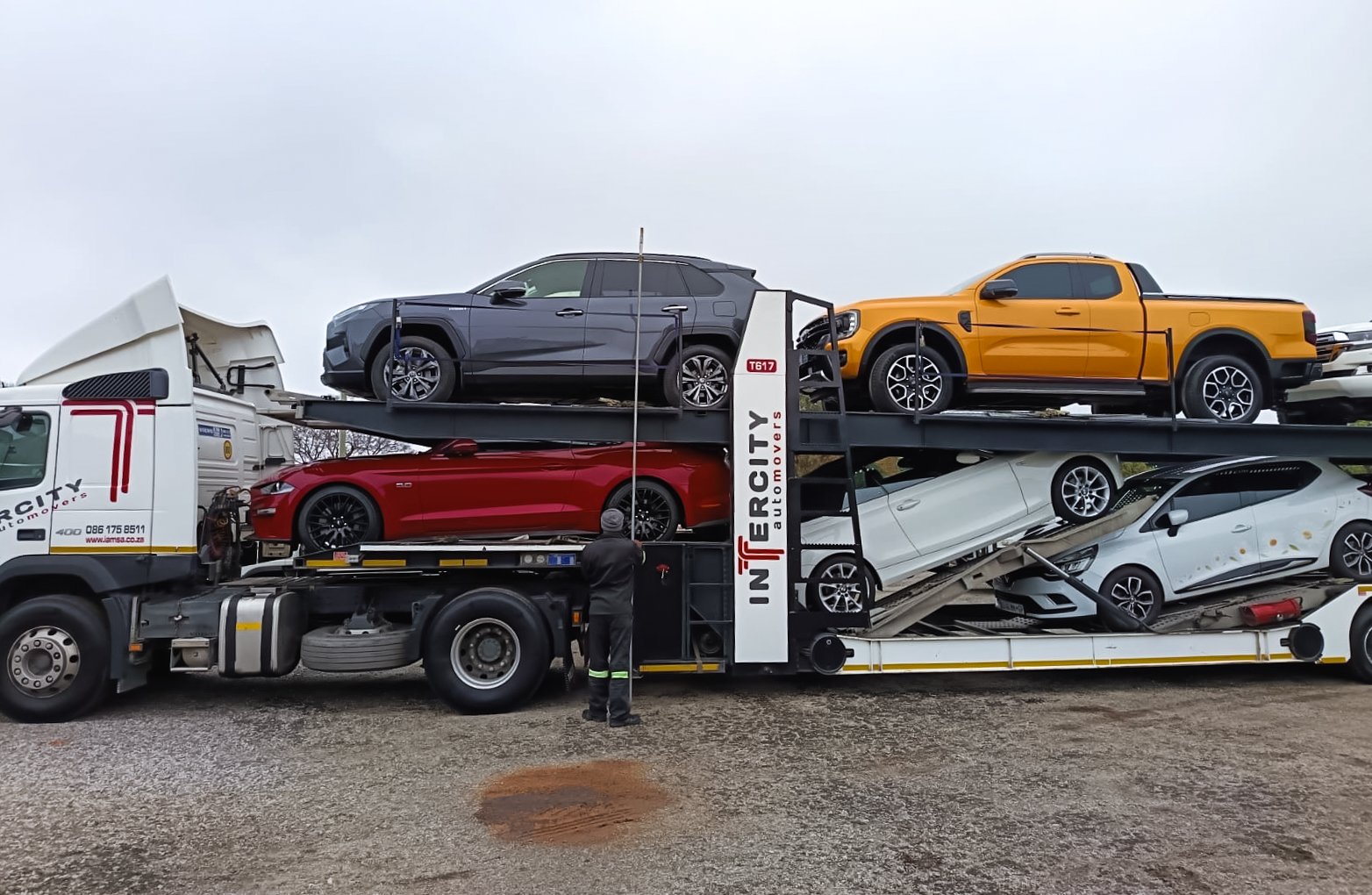 Professional Vehicle Shipping Companies with Insurance