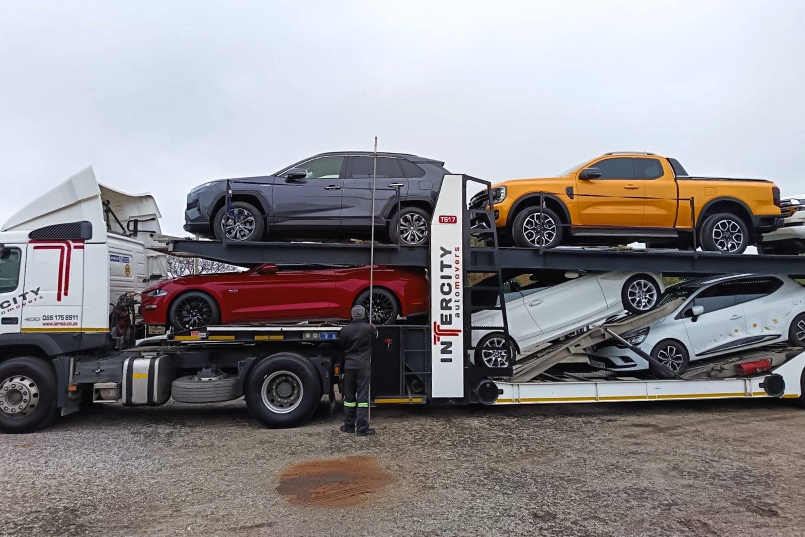 Professional Vehicle Shipping Companies with Insurance